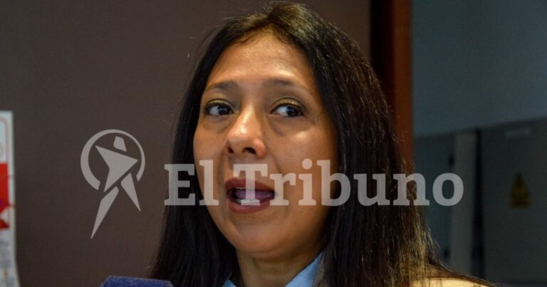 Beatriz Iñigo de FACA NOA sobre el caso López Viñals: “La ley es clara: no hay reelección posible”