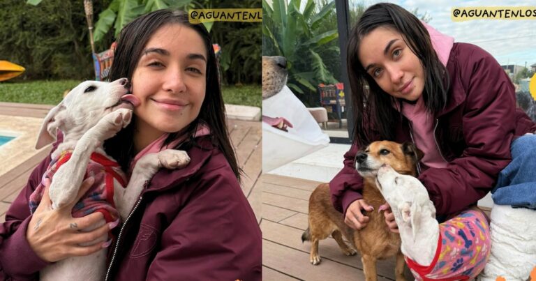 El conmovedor gesto de María Becerra para salvar a los perros rescatados en el temporal de Buenos Aires