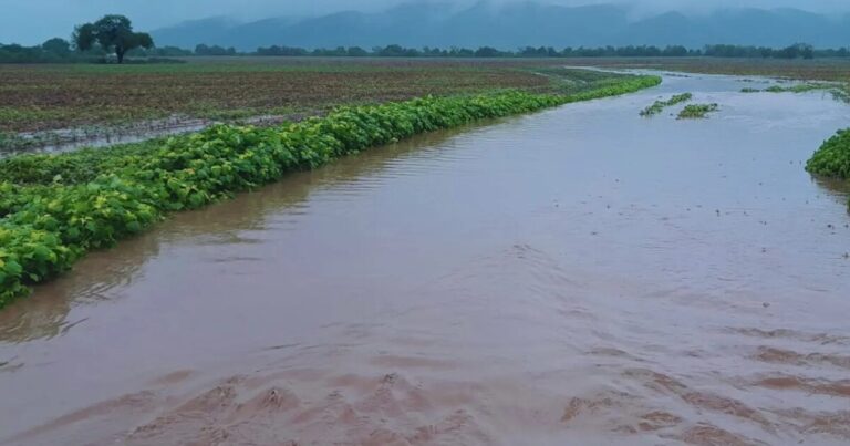 El arte de frenar el agua sin perder el suelo