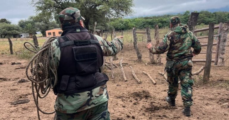 Dos demorados por abigeato en La Candelaria: recuperaron un animal robado en 2024