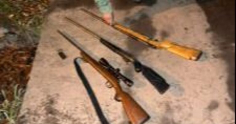 Tres demorados por portar armas ilegales en controles viales en Embarcación y Rosario de la Frontera