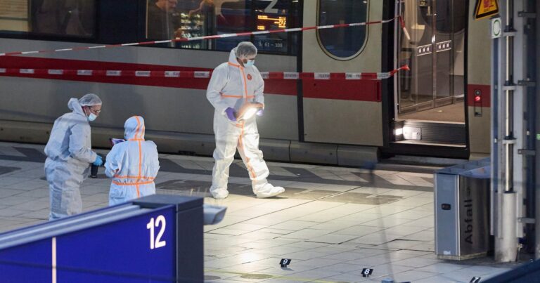 La mujer que apuñaló a 18 personas en Hamburgo había salido de una clínica psiquiátrica