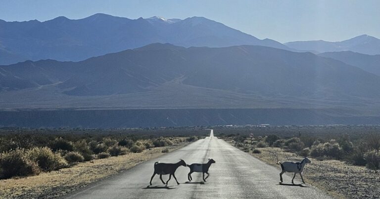 Cachi: destino único para tus vacaciones de invierno
