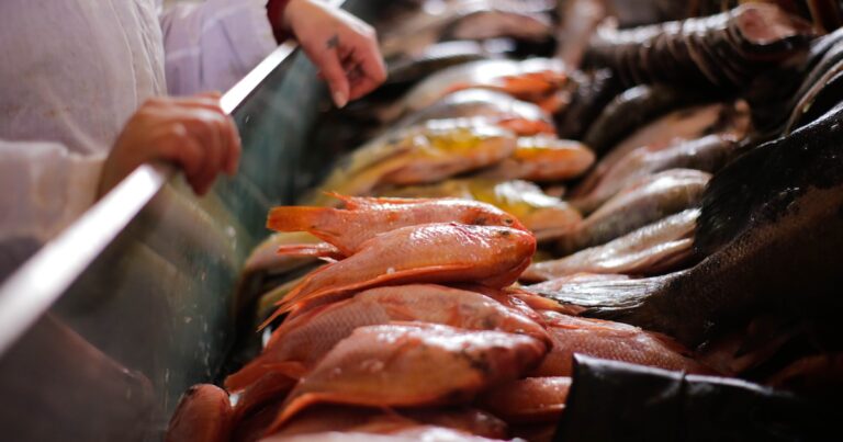 En 2024, 21 de 22 economías regionales argentinas aumentaron sus exportaciones: cuáles crecieron más y cuál fue la excepción