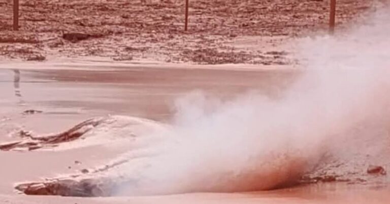 Pozo Lomas de Olmedo: un derrame petrolero en el norte que lleva dos años