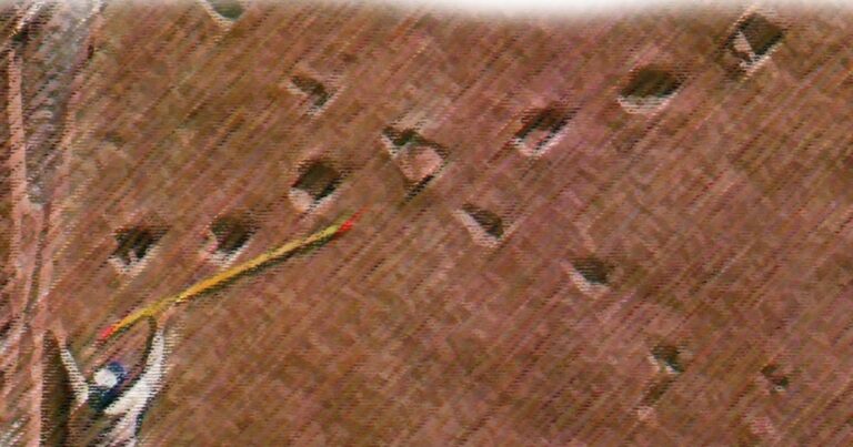 El fantástico atractivo de los dinosaurios ha pasearon por Salta