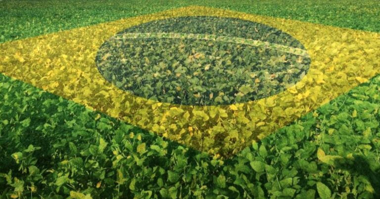 Brasil irá por más soja en 2025/26