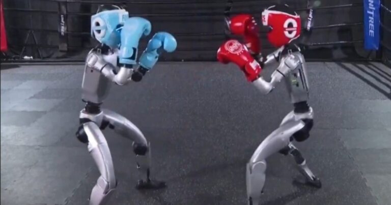 Robots humanoides protagonizaron un nuevo espectáculo de boxeo