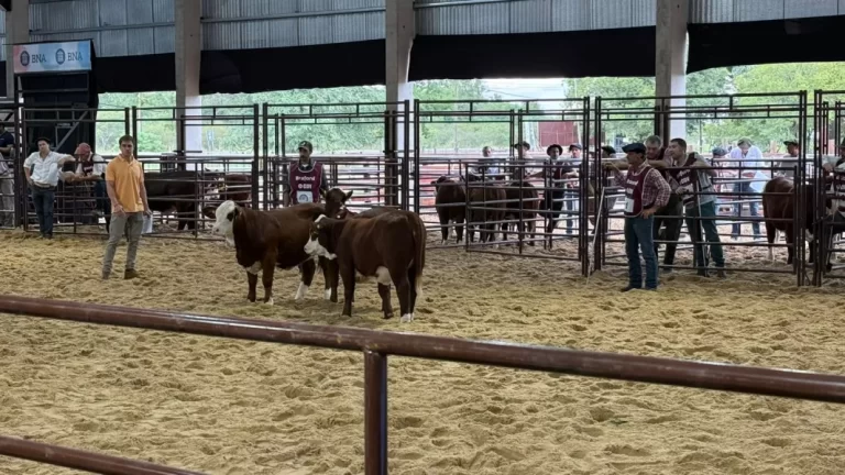 El Gobierno acompaña a cabañas ganaderas salteñas en Las Nacionales 2025