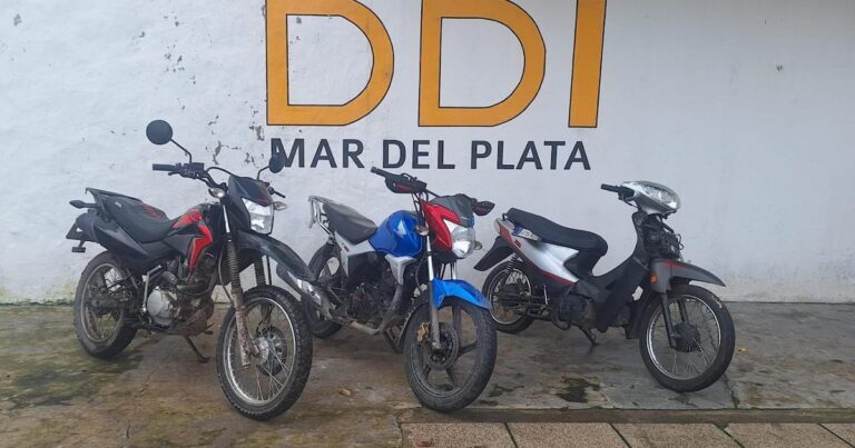 Cayó una banda que robó casi 20 motos en menos de dos meses en Mar del Plata y hay ocho detenidos