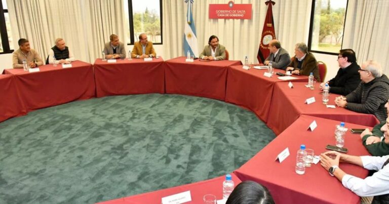 Sáenz retiró el proyecto que quitaba cobertura a jubilados del IPS: “Cometimos un error”