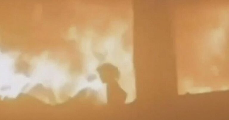 Israel atacó una escuela: 33 muertos