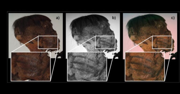 Científicos descubrieron una momia con tatuajes faciales inéditos y técnicas sorprendentes