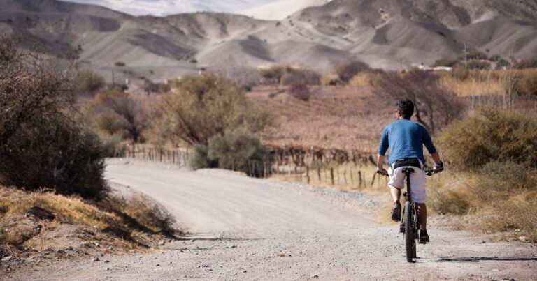 Las Dunas de Tatón, el tesoro oculto del Noroeste argentino que atrae turistas y productores de películas