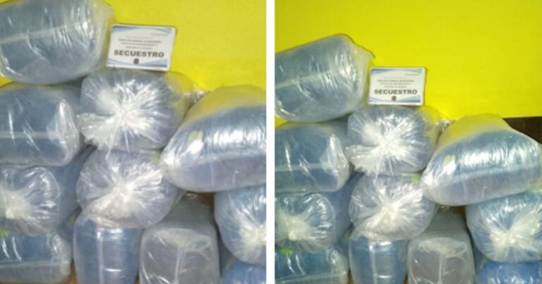 Cazados con las manos en la hojas de coca: secuestran más de 200 kilos en Apolinario Saravia