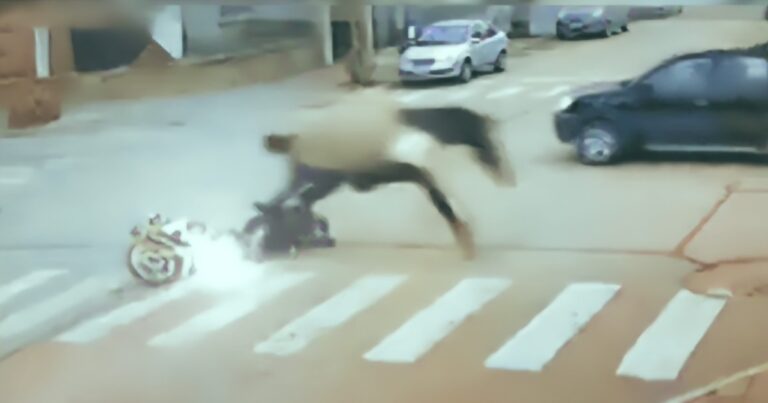 Video: un caballo desbocado atropelló a una motociclista en Necochea