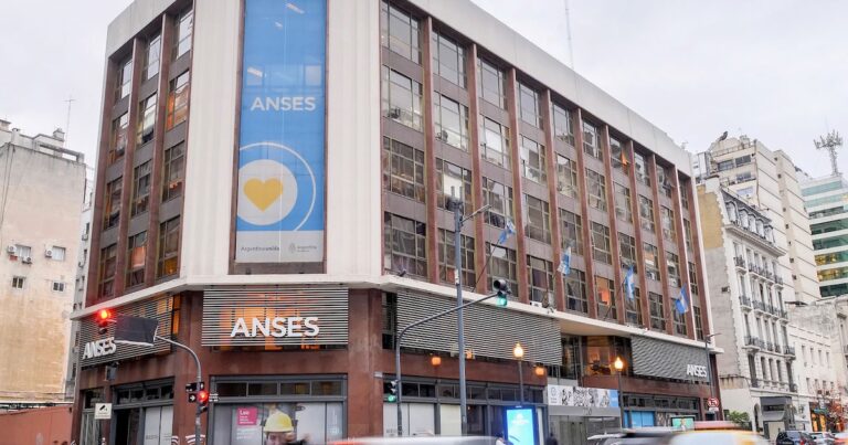 ANSES: cómo se puede consultar la historia laboral en forma rápida y simple