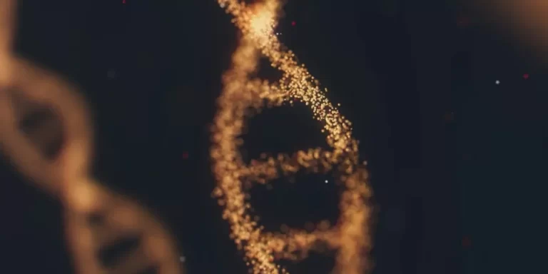 Qué es el síndrome X-frágil: estiman que el 80% de los casos está sin diagnosticar