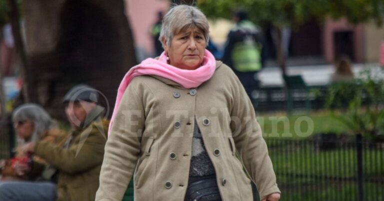 El clima en Salta: el aire polar llevó nieve a varias provincias, ¿llega a Salta?