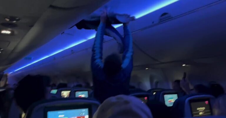 Así fue el insólito momento en el que dos aves se colaron a la cabina de un vuelo de pasajeros