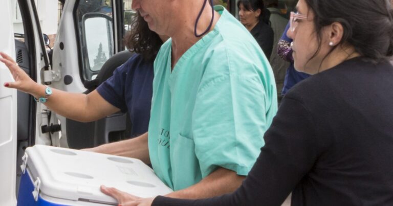 Hicieron trasplantes en hospitales de Salta
